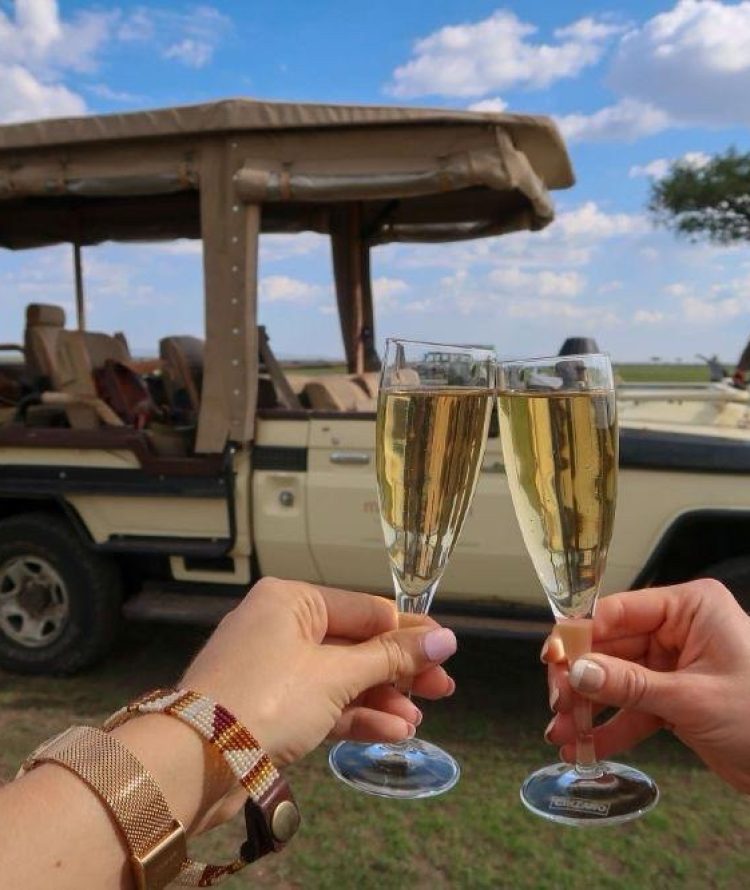 JPEG image-4BF5-A36E-F1-5